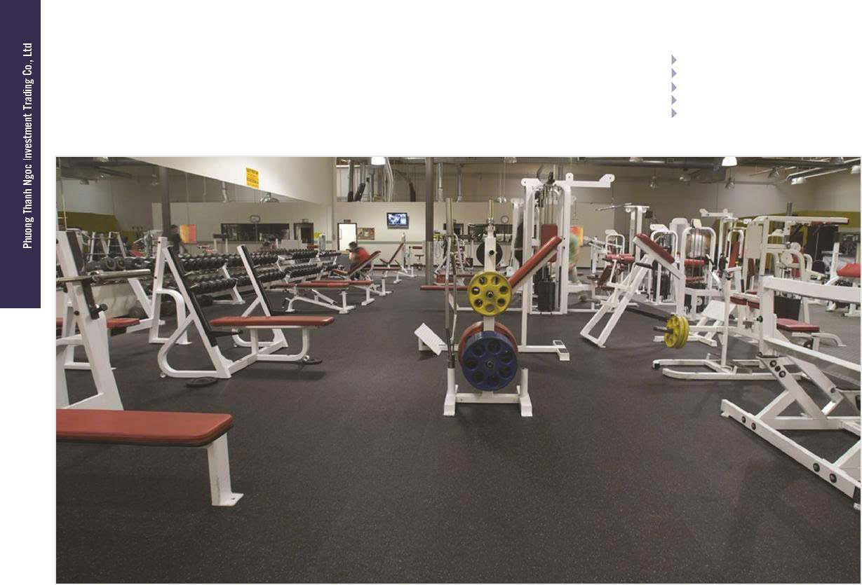 Không gian tập luyện hiện đại tại dự án Fitness và Pool